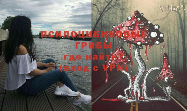 дурь Алзамай