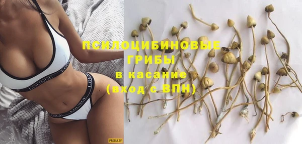 стафф Алексеевка