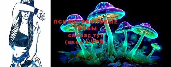 дурь Алзамай